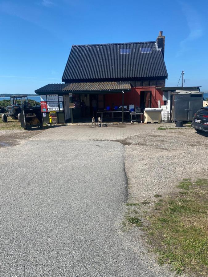 Nyhus, Dragsmur, Mols Knebel Luaran gambar
