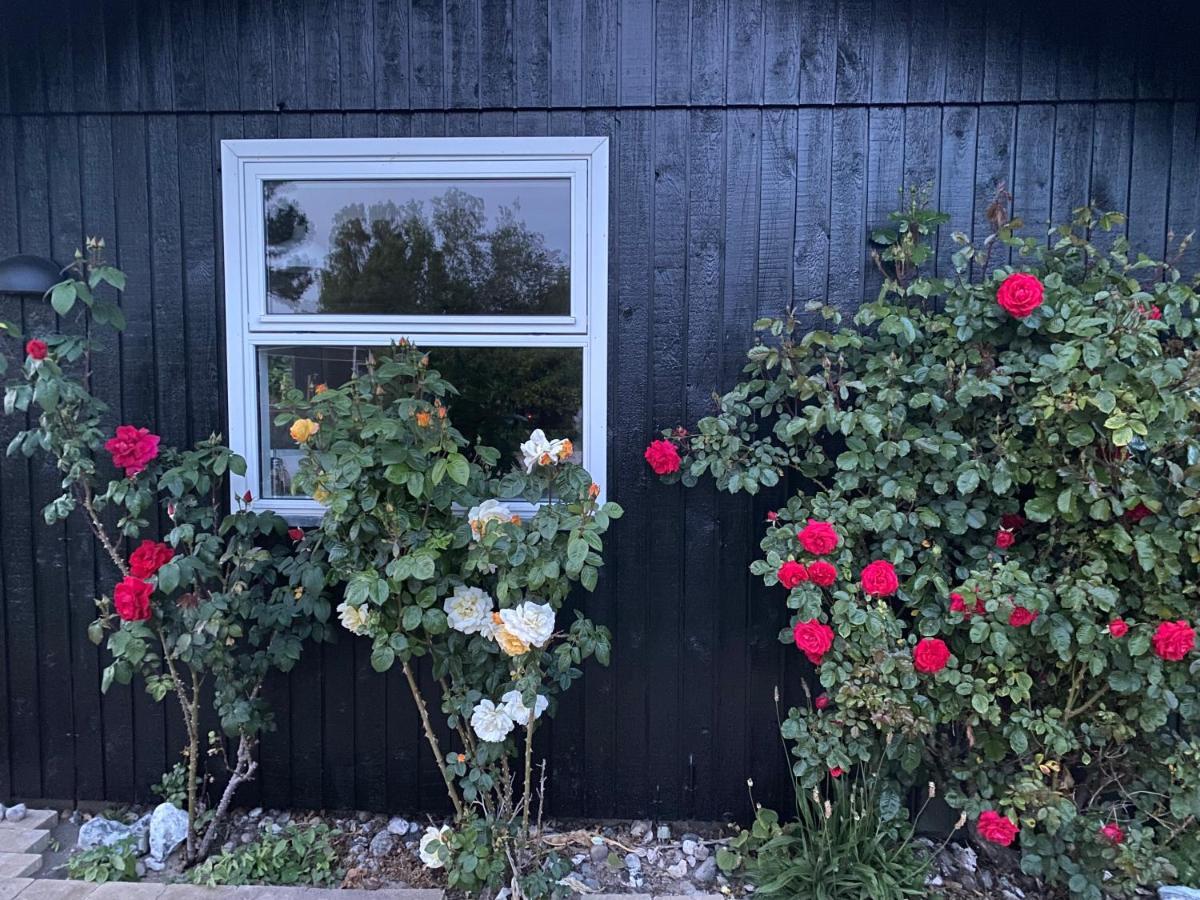 Nyhus, Dragsmur, Mols Knebel Luaran gambar
